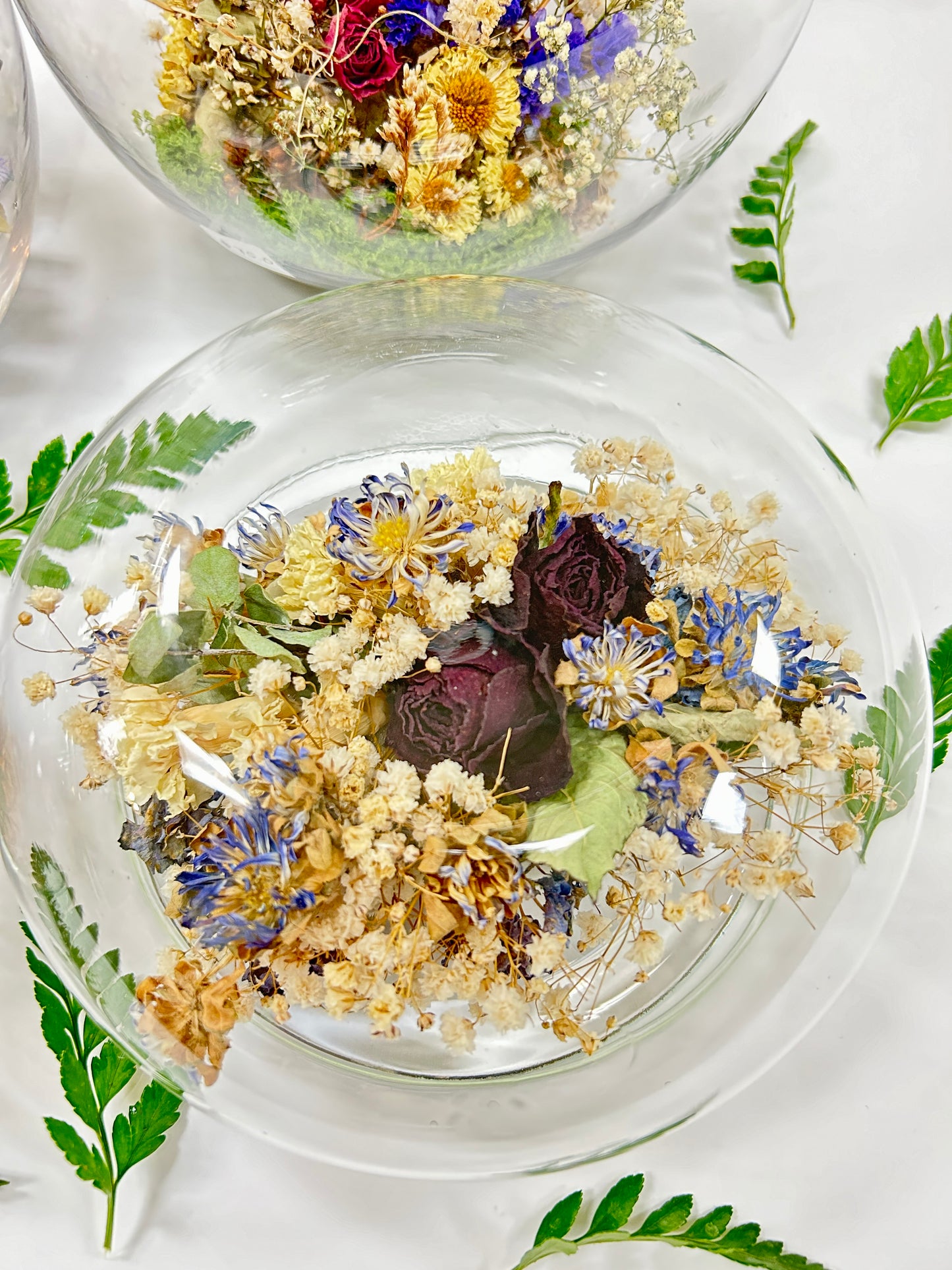 Dried flowers display glasses terrarium
