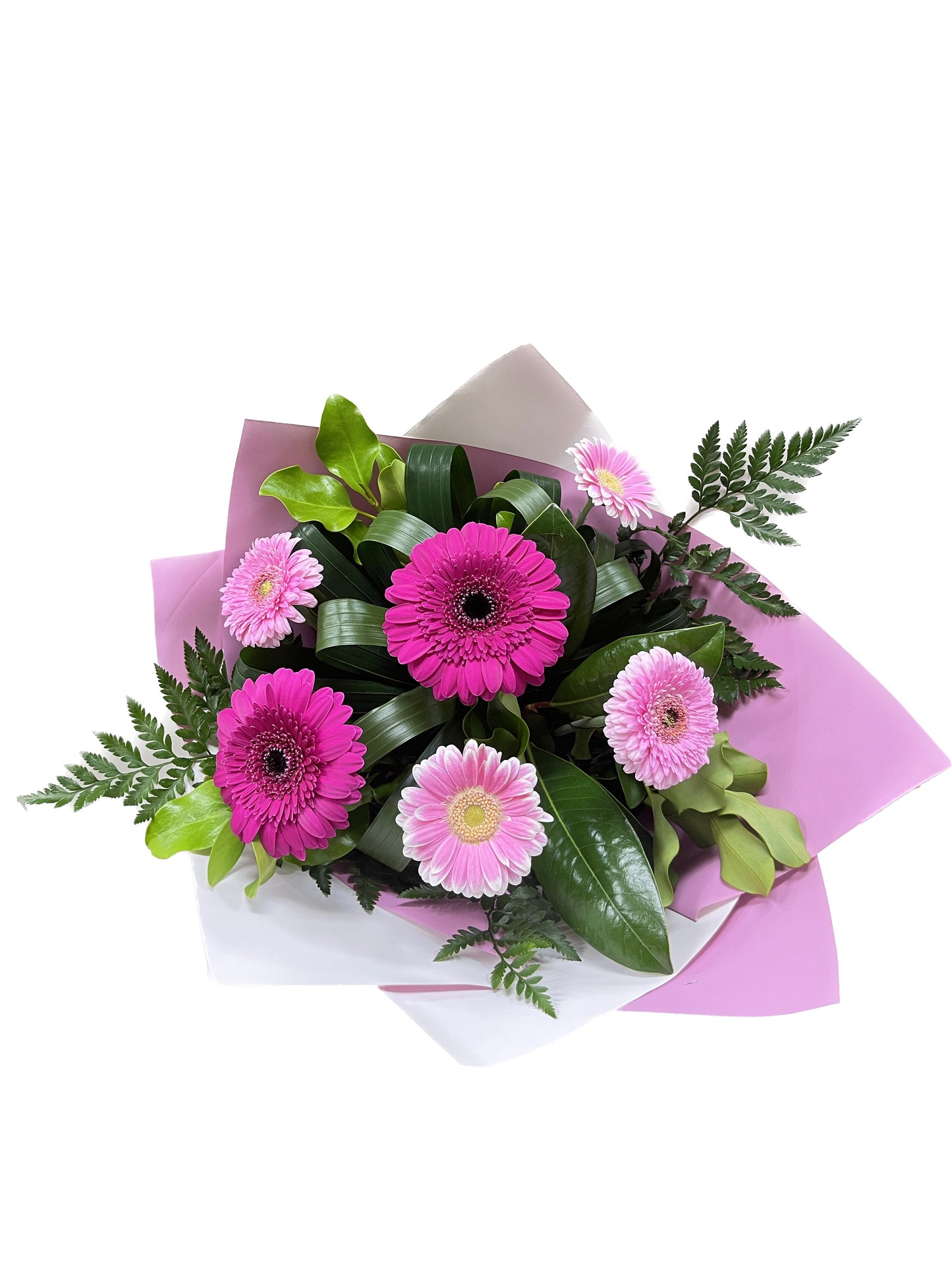 Gerberas Gift Wrap