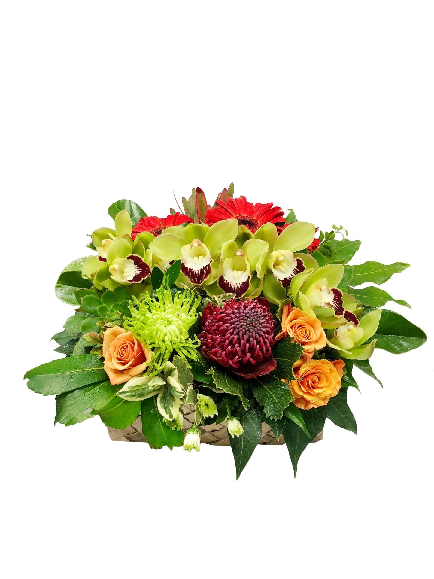 Pacifica Square Kete Box Arrangement