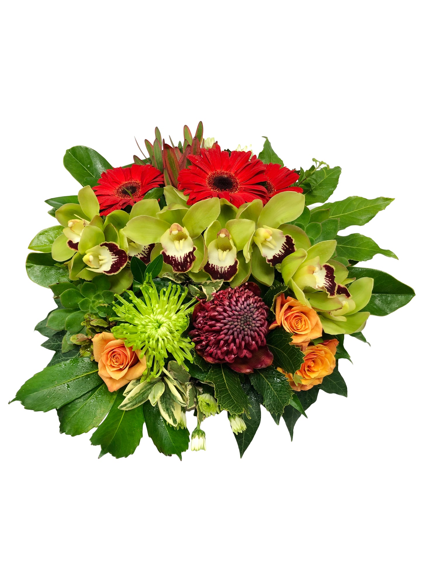 Pacifica Square Kete Box Arrangement