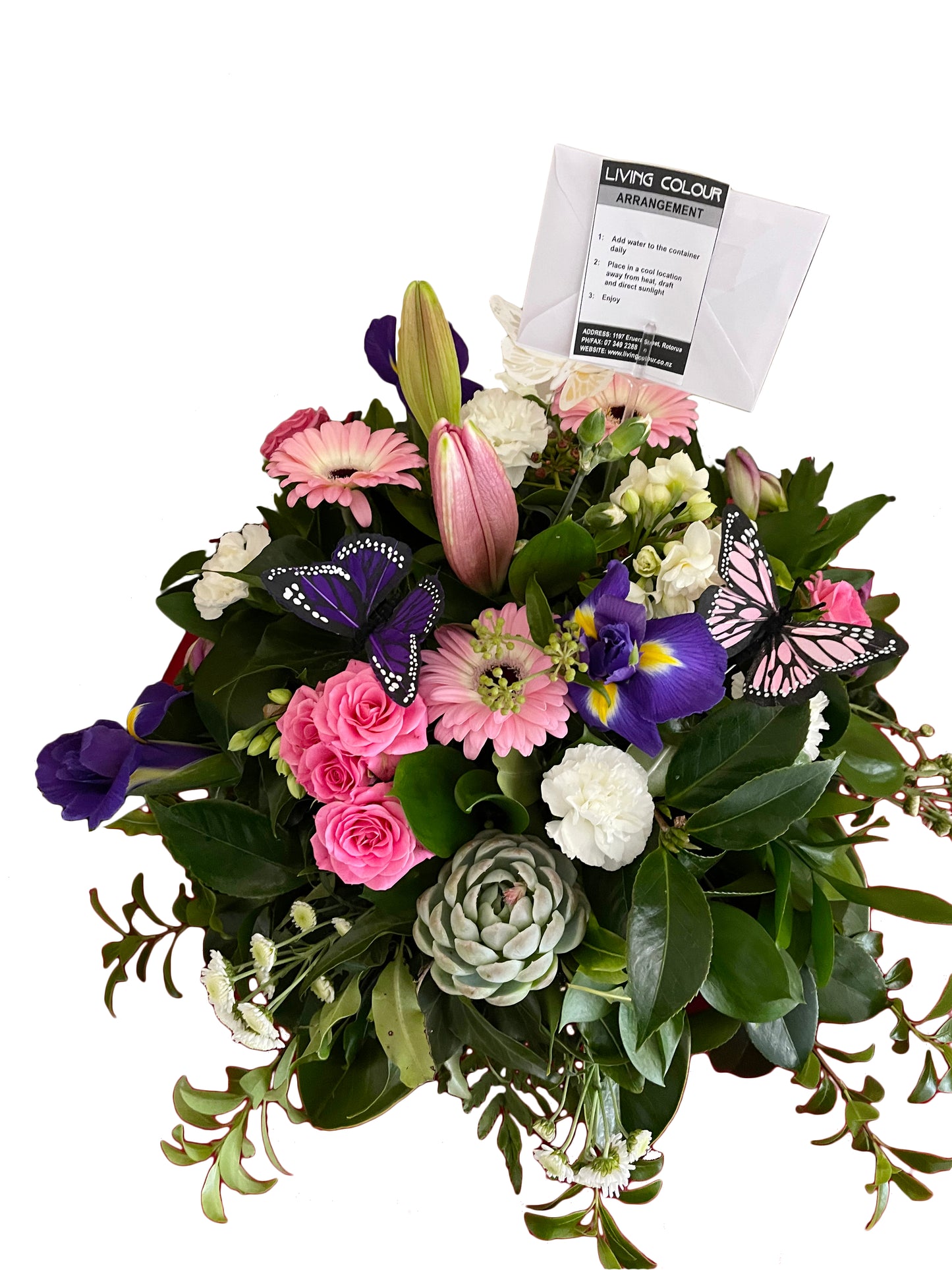 Pretty Butterfly Posy Arrangement