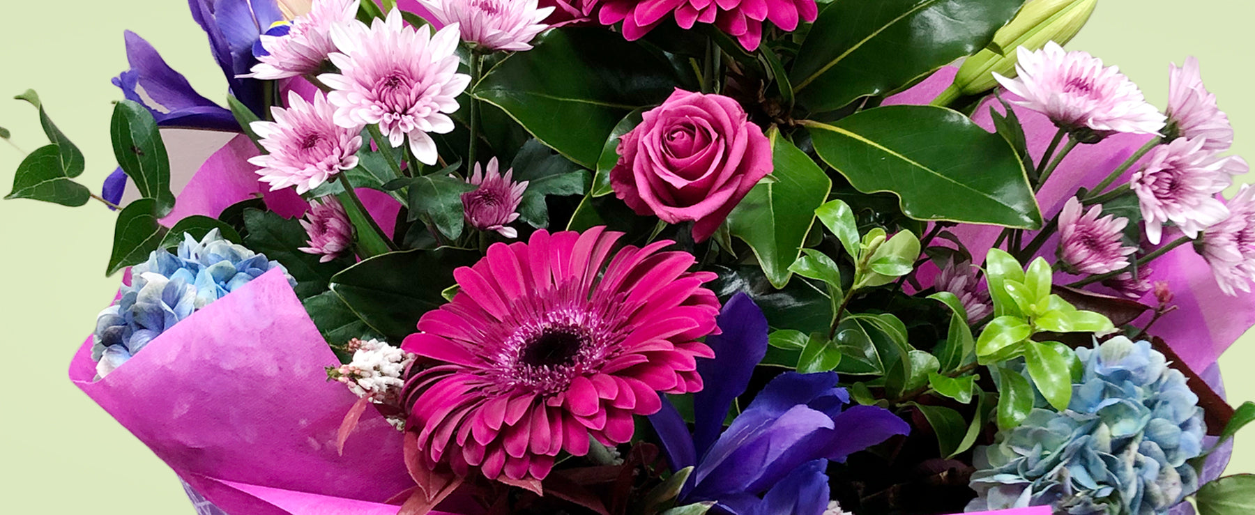 Rotorua FloristLiving Colour FloristDesigner Gifts / Flowers