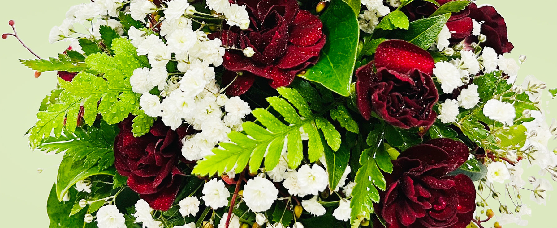 Rotorua FloristLiving Colour FloristDesigner Gifts / Flowers