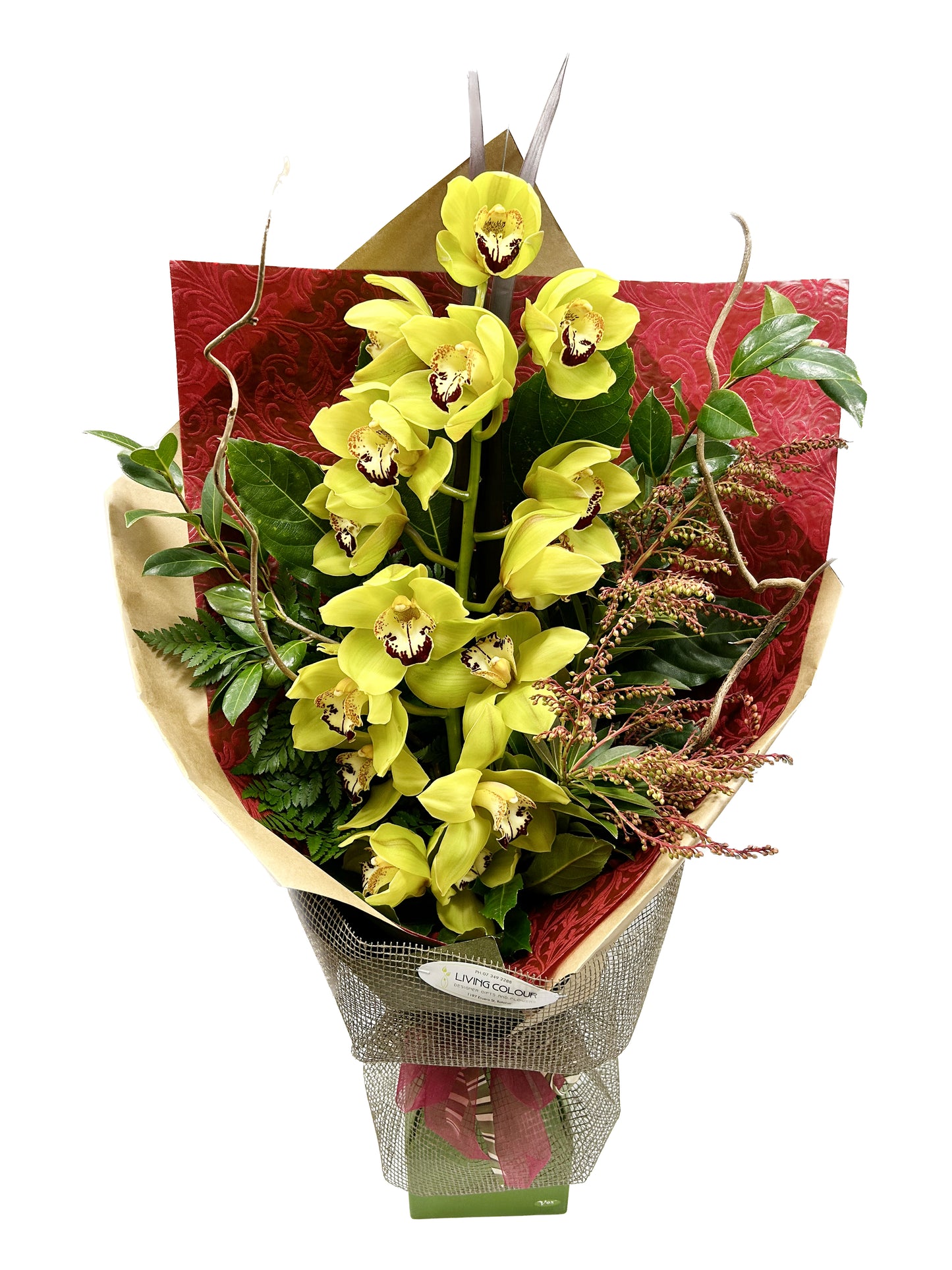 Orchid Stem Gift Wrap