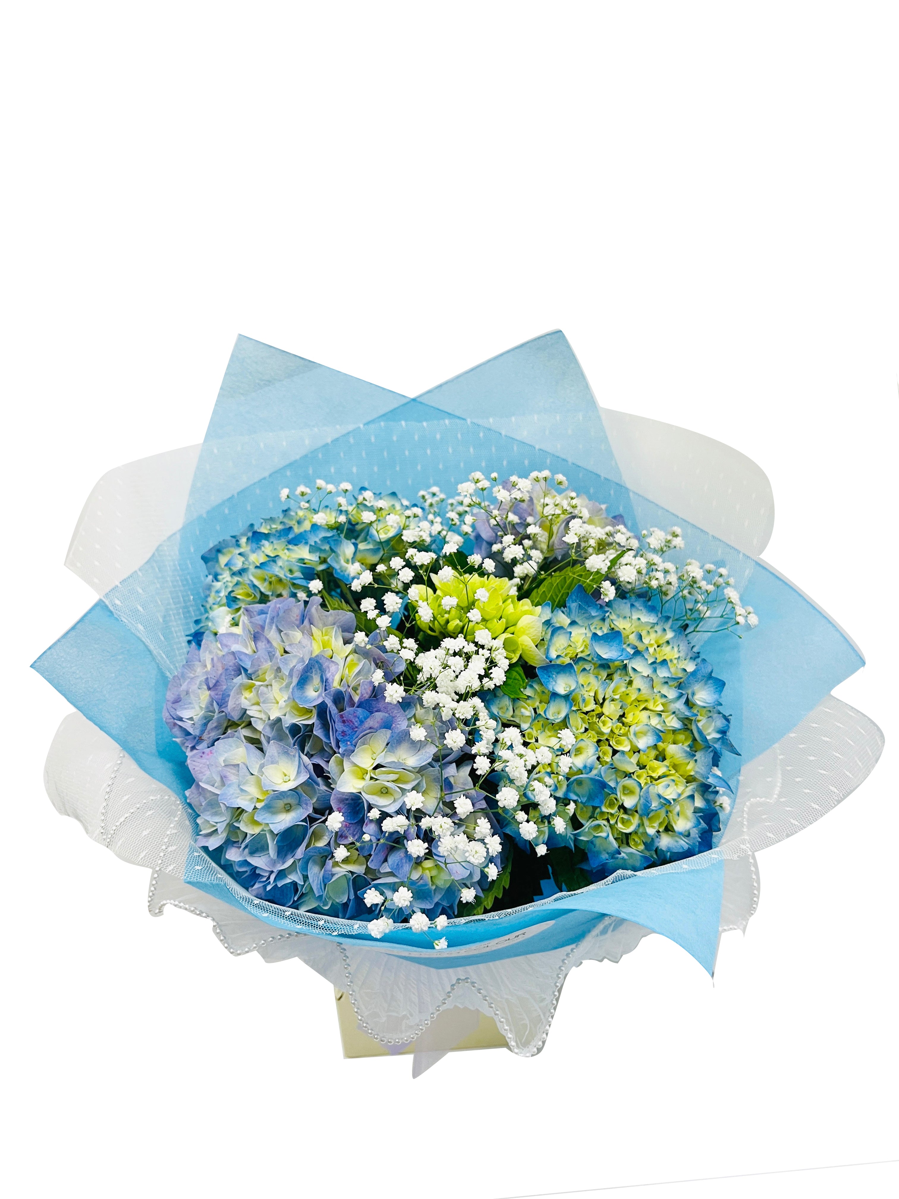 Rotorua FloristLiving Colour FloristDesigner Gifts / Flowers